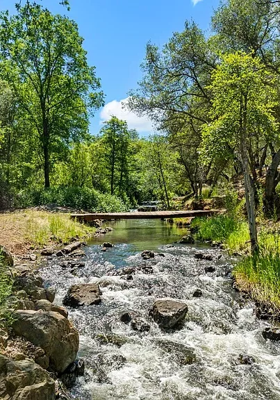 Creek Bridge